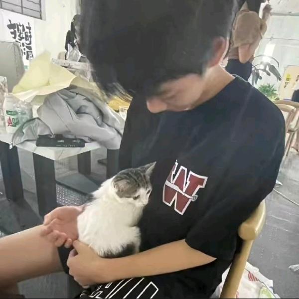 厌小程