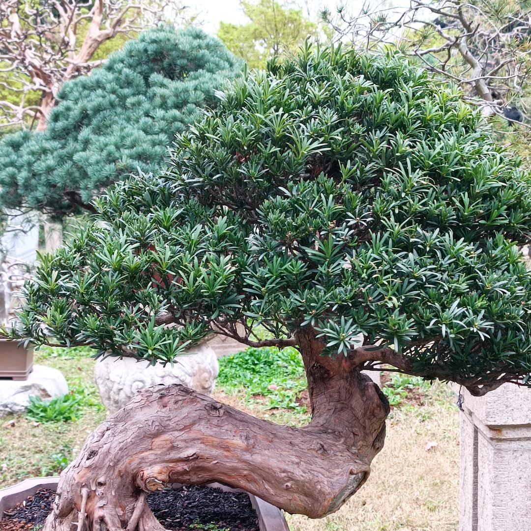 🌞暖和的阳光🌻