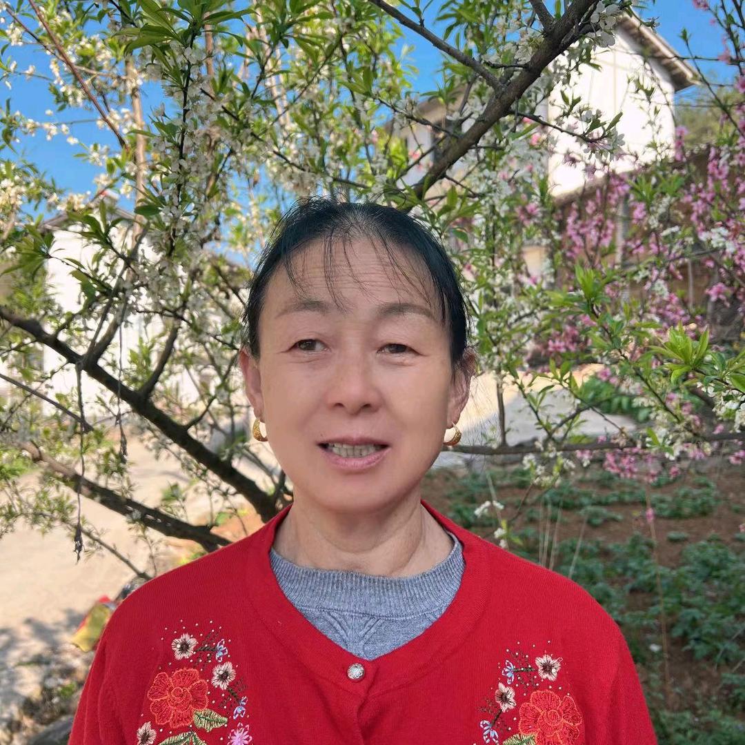 董大姐  上午9点半开播