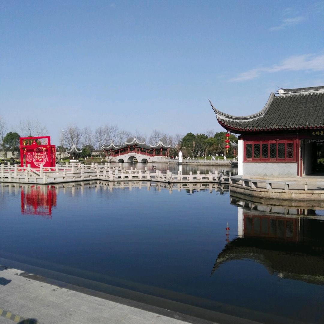 【仰望星空】⭐️