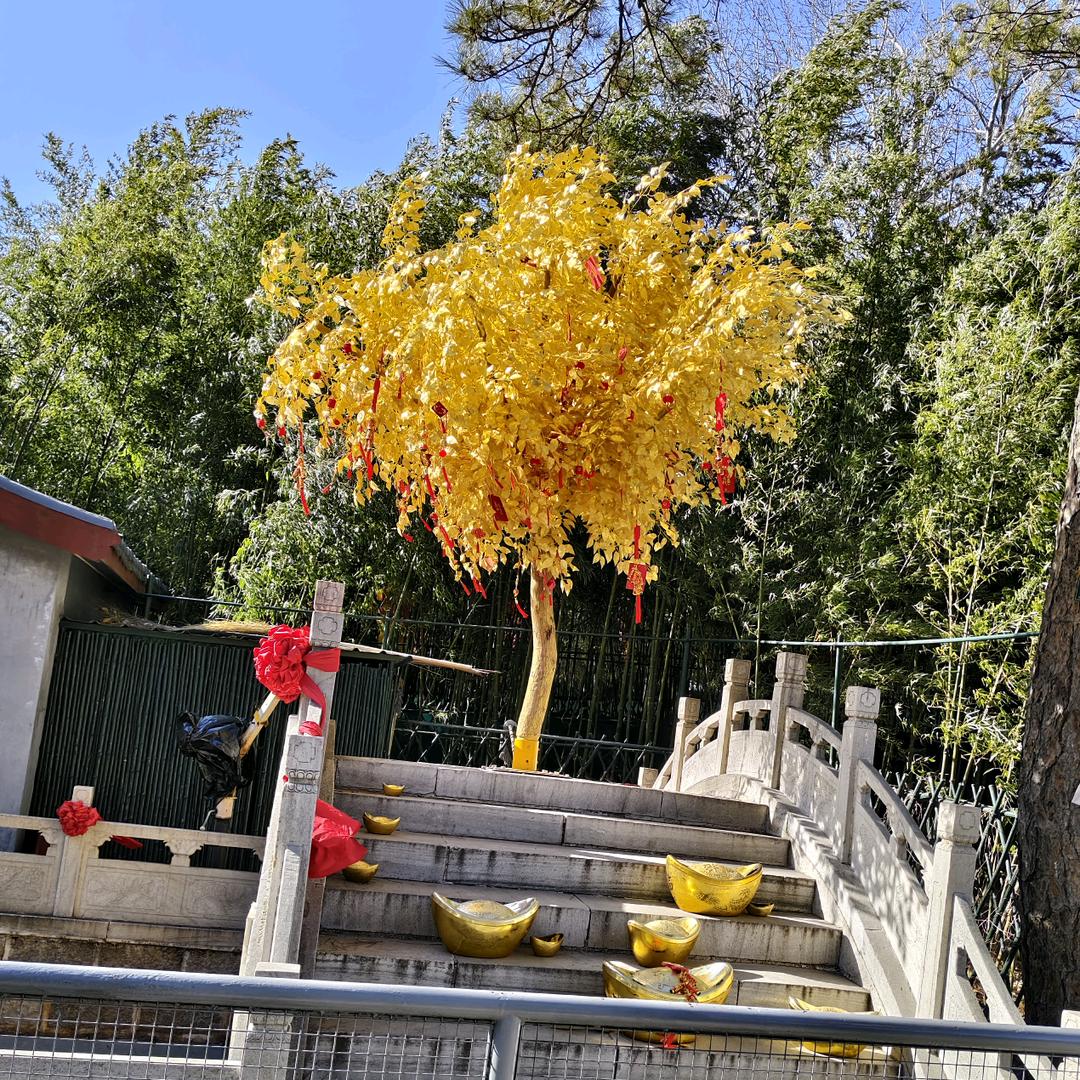 ゞ風行↘兵临城下