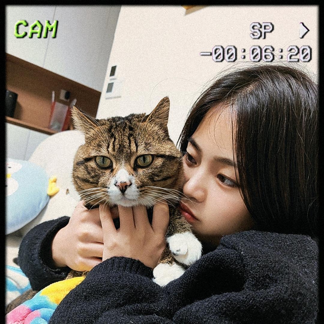 西子