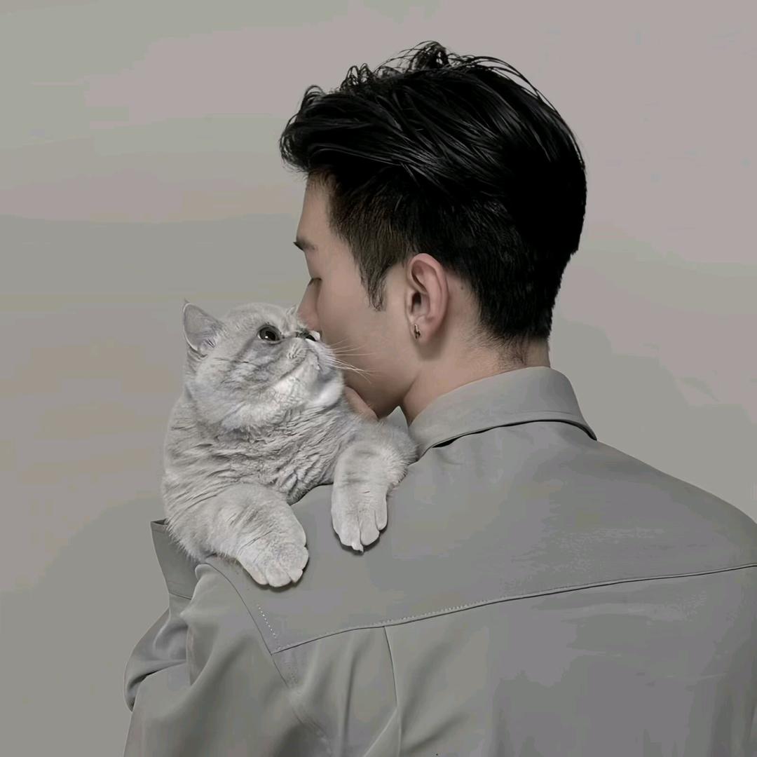南風知我意