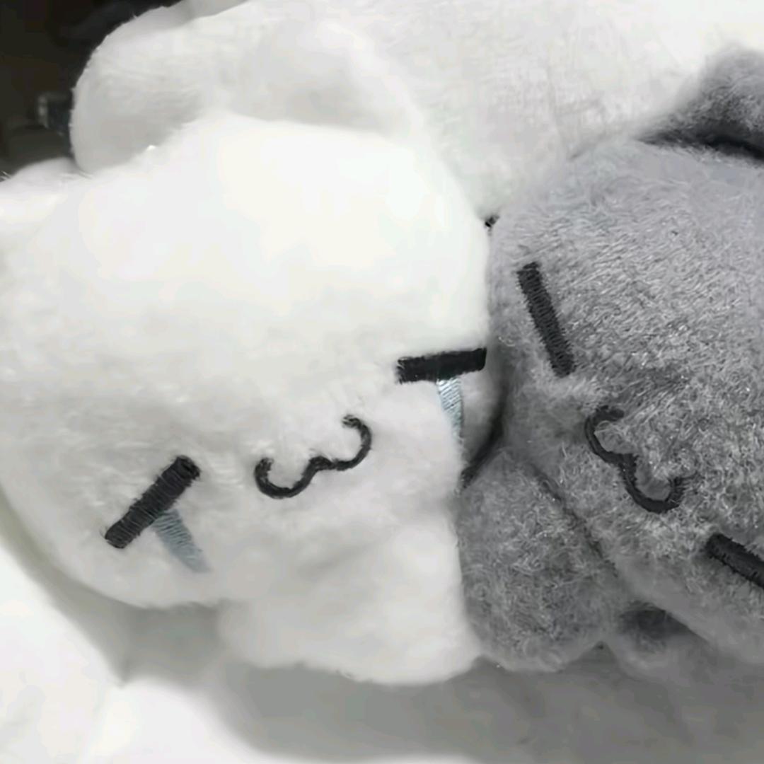 告白