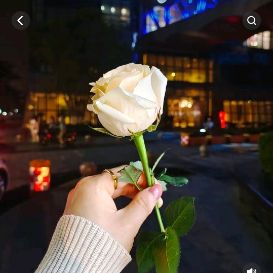 等你等了那么久