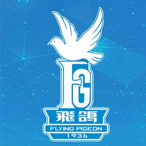 飞鸽官方旗舰店