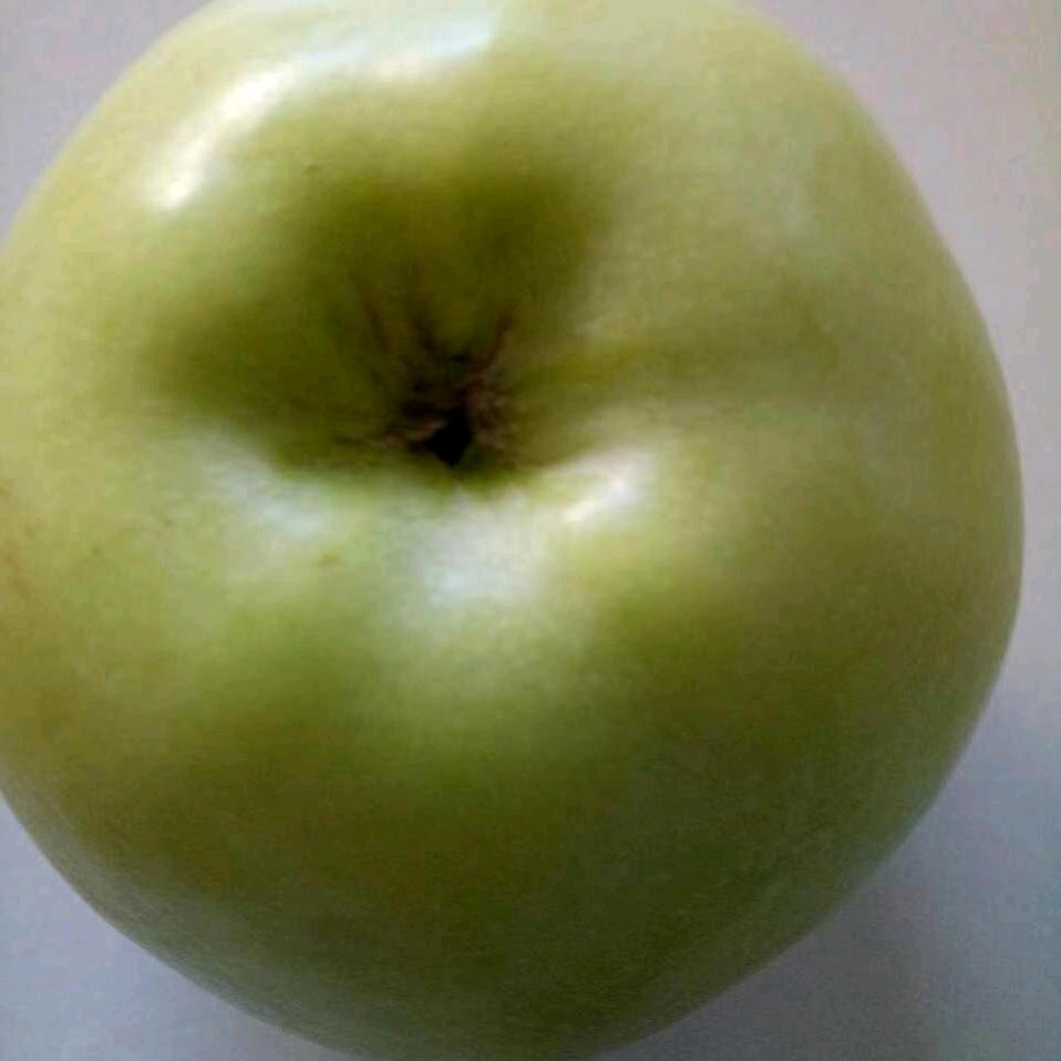 青苹果