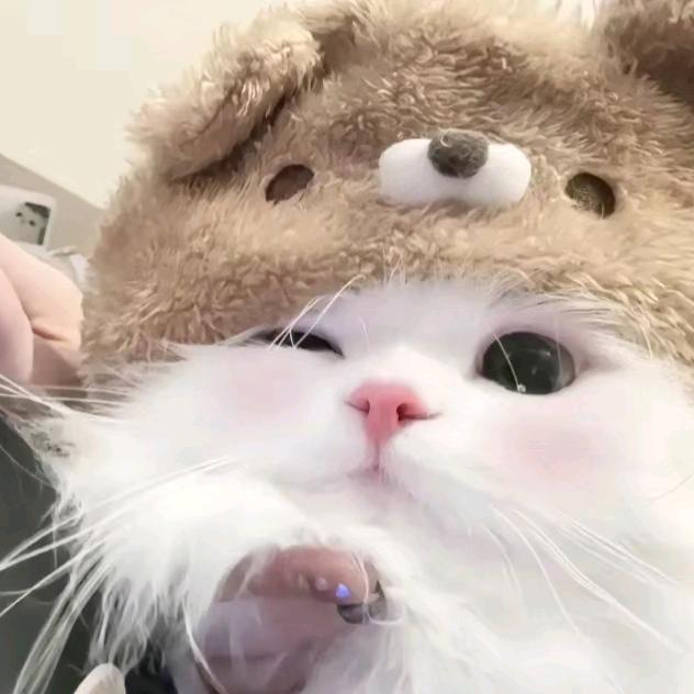 小᳐蘓大王᳐੭