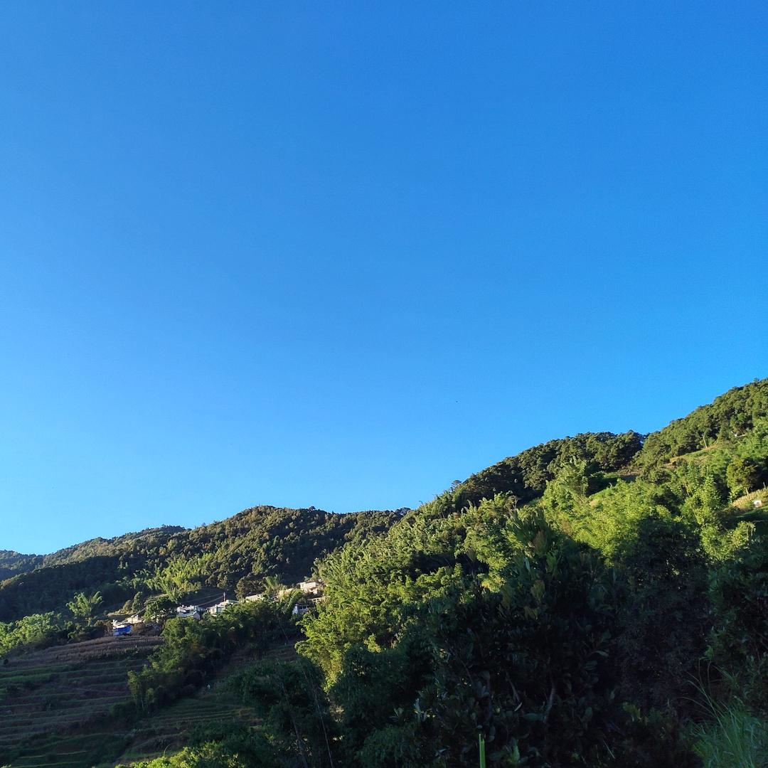 双江县景森茶叶坊