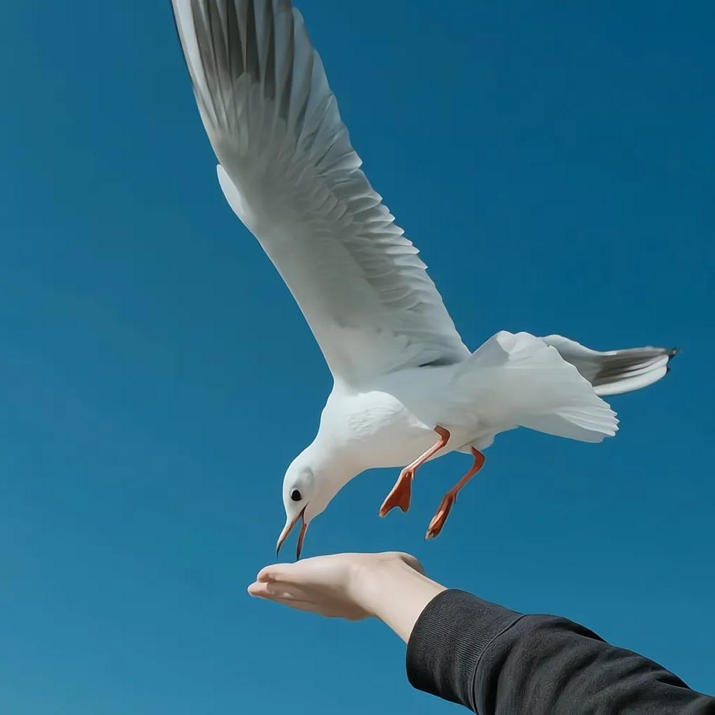 @ꪶⅈ᥇𝕣ꪖ⚖