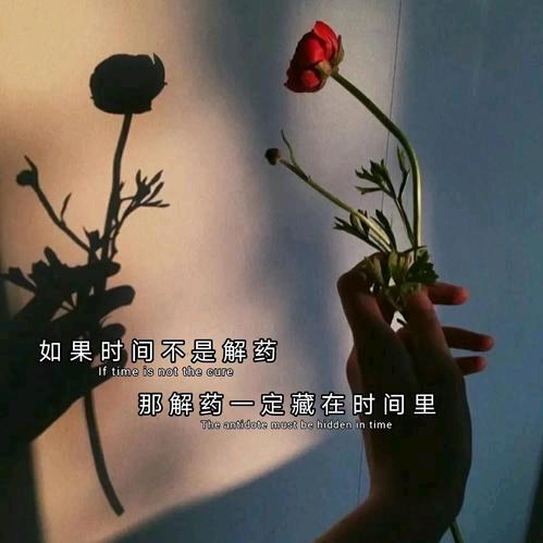 往事💘清零💔