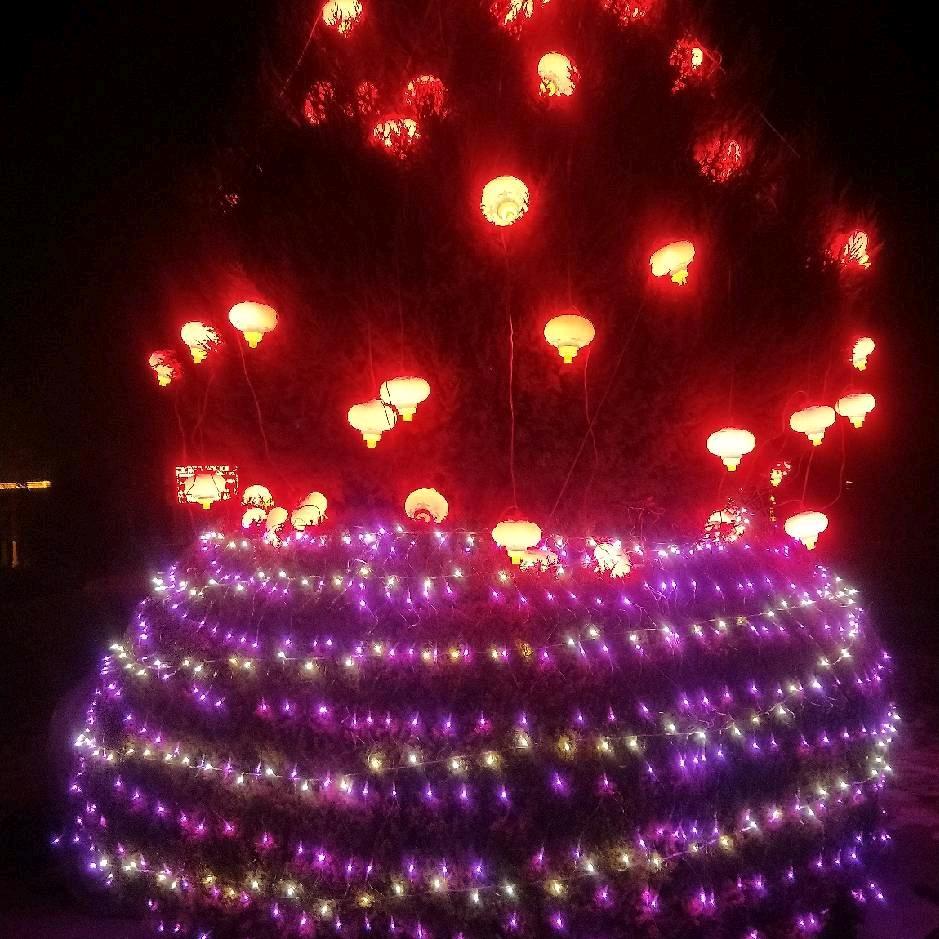 (ꐦÒ‸Ó)你个老六