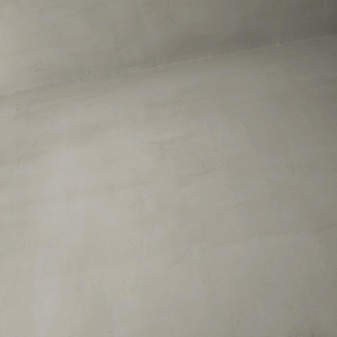 鲸