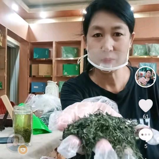 信清雨茶业