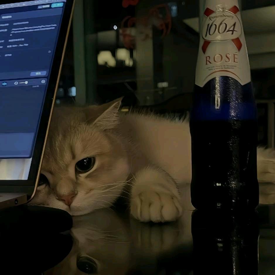 深情留给𝐒𝐀𝐆𝐈𝐓𝐀𝐑.