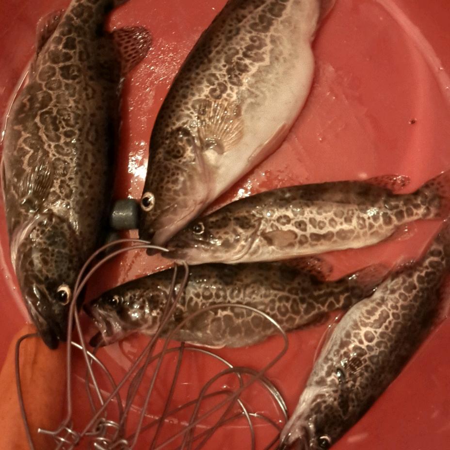 🌈平平淡淡🌈