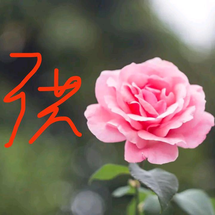 何为人生？？