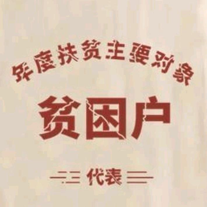 特级软件硬化工程师👻