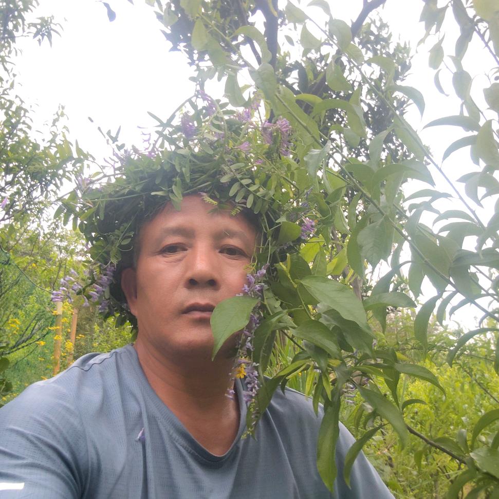 山清水秀