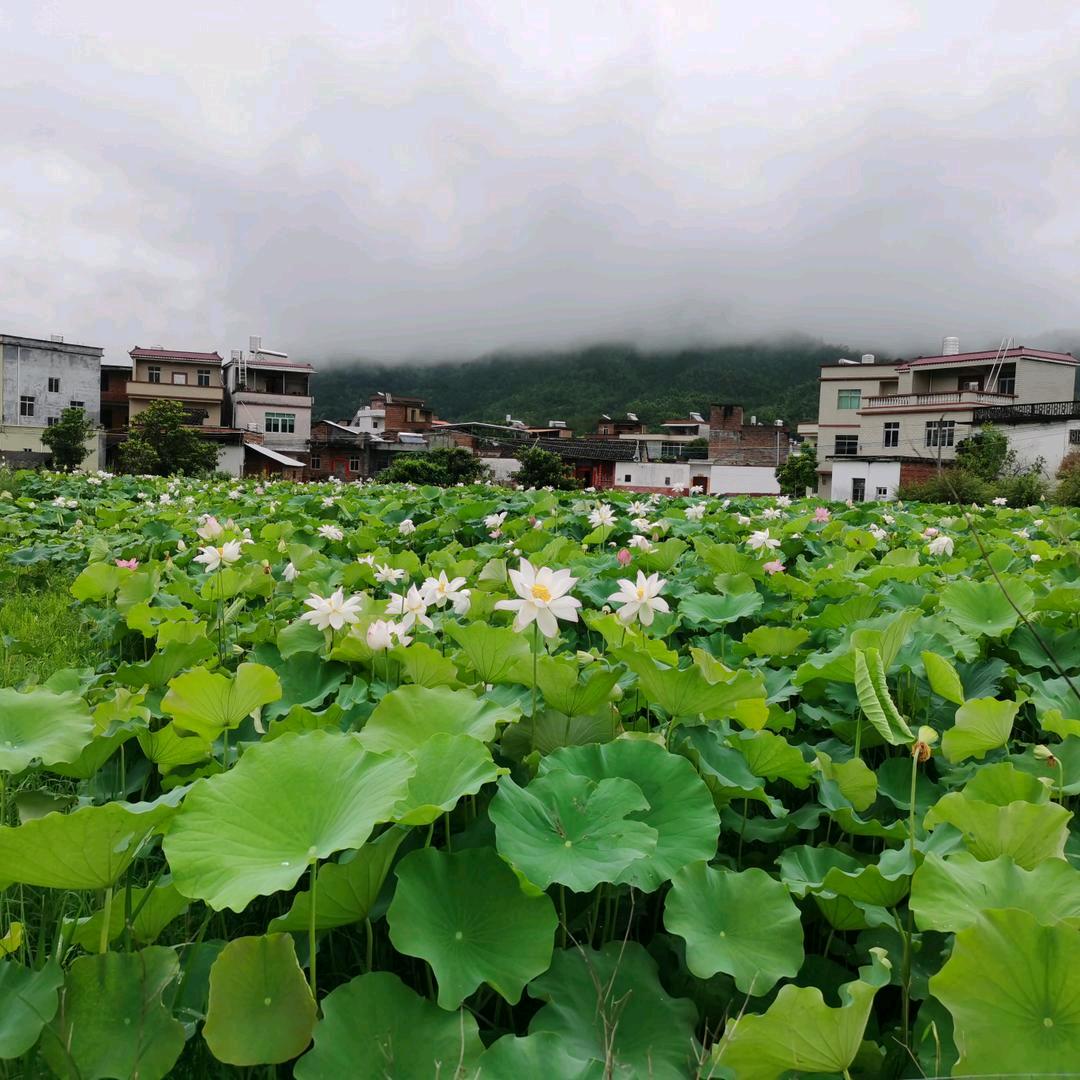 山解仔