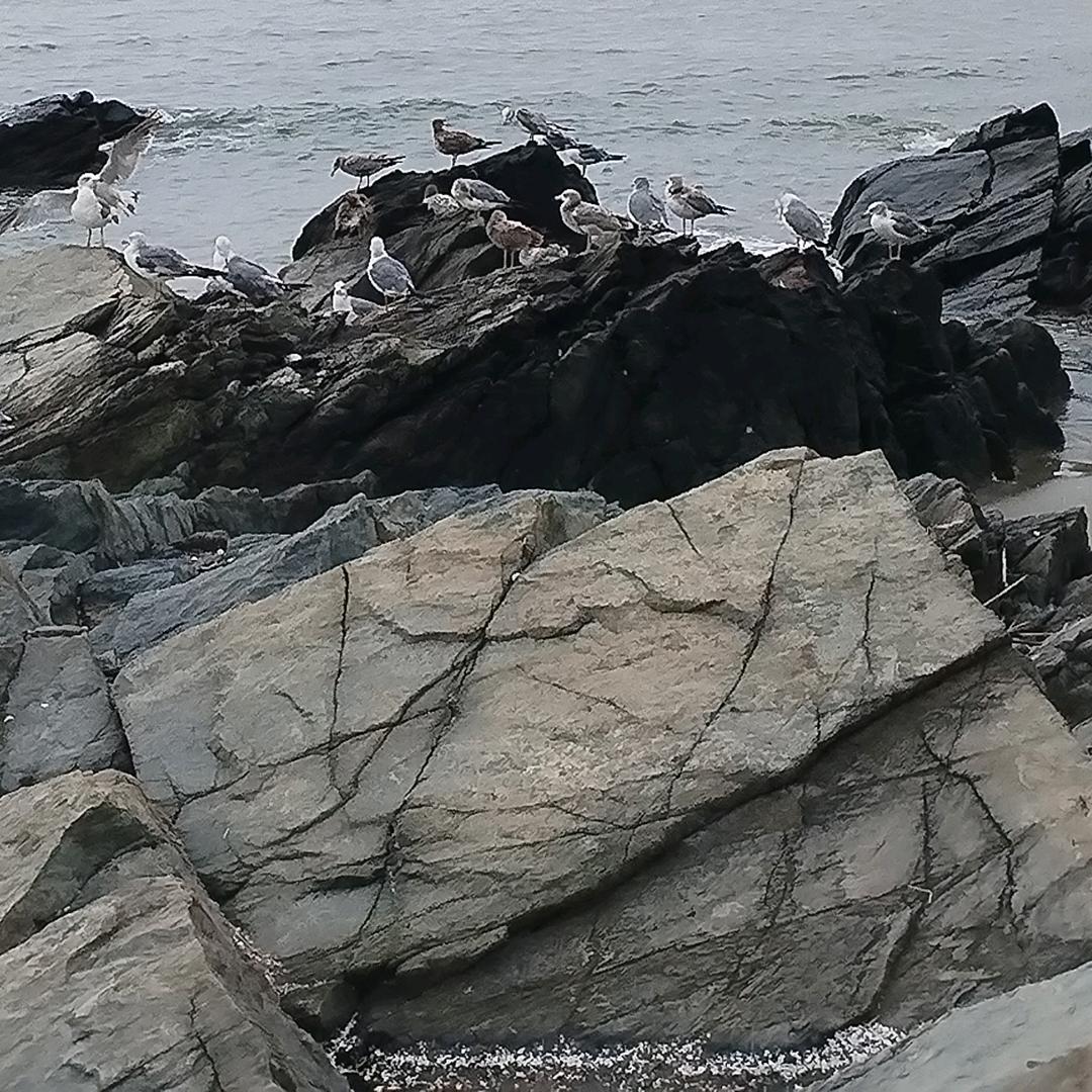 丹东大鹿岛德月酒店