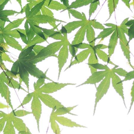天天养固健之道
