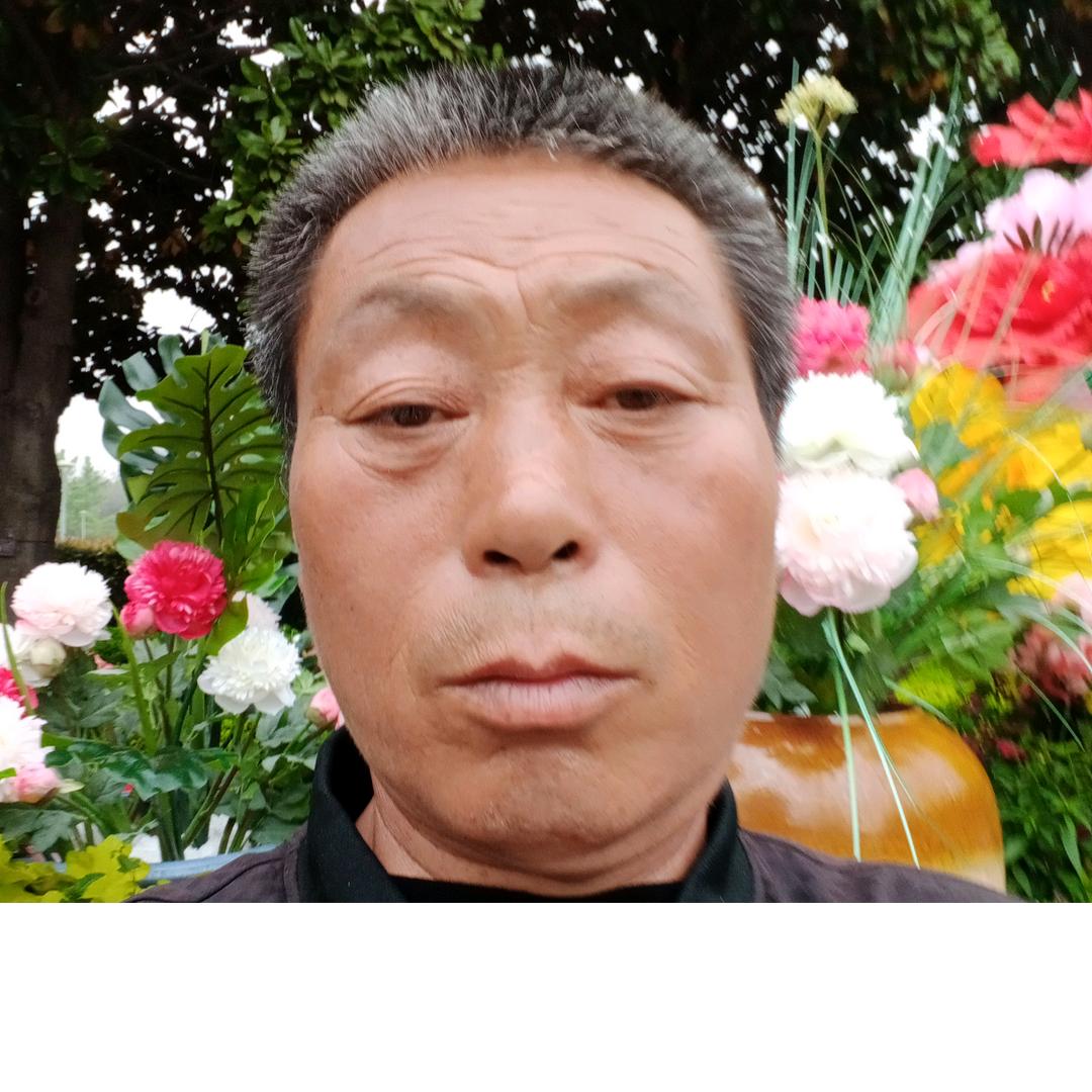 陈新义