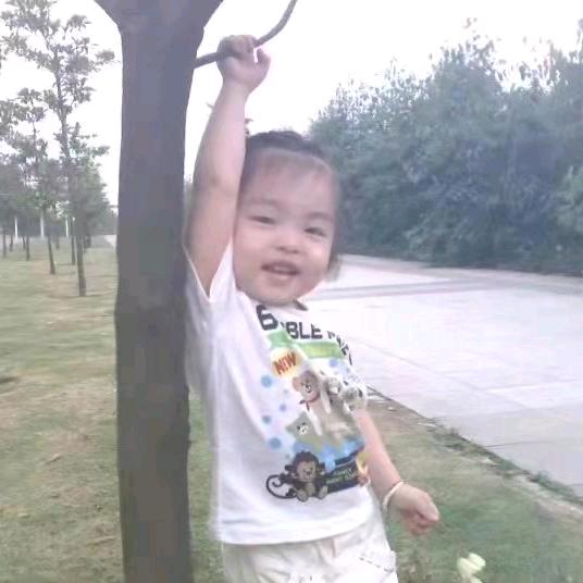 傻羚