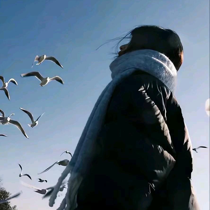 小羽.
