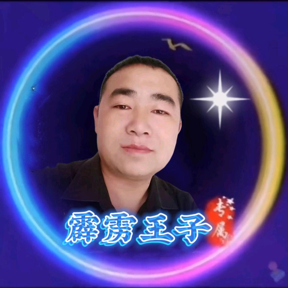 霹雳王子