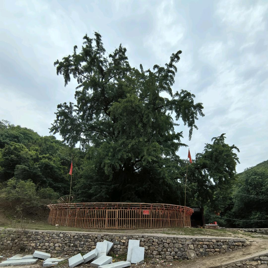 泌阳金融信息咨询  汪先森