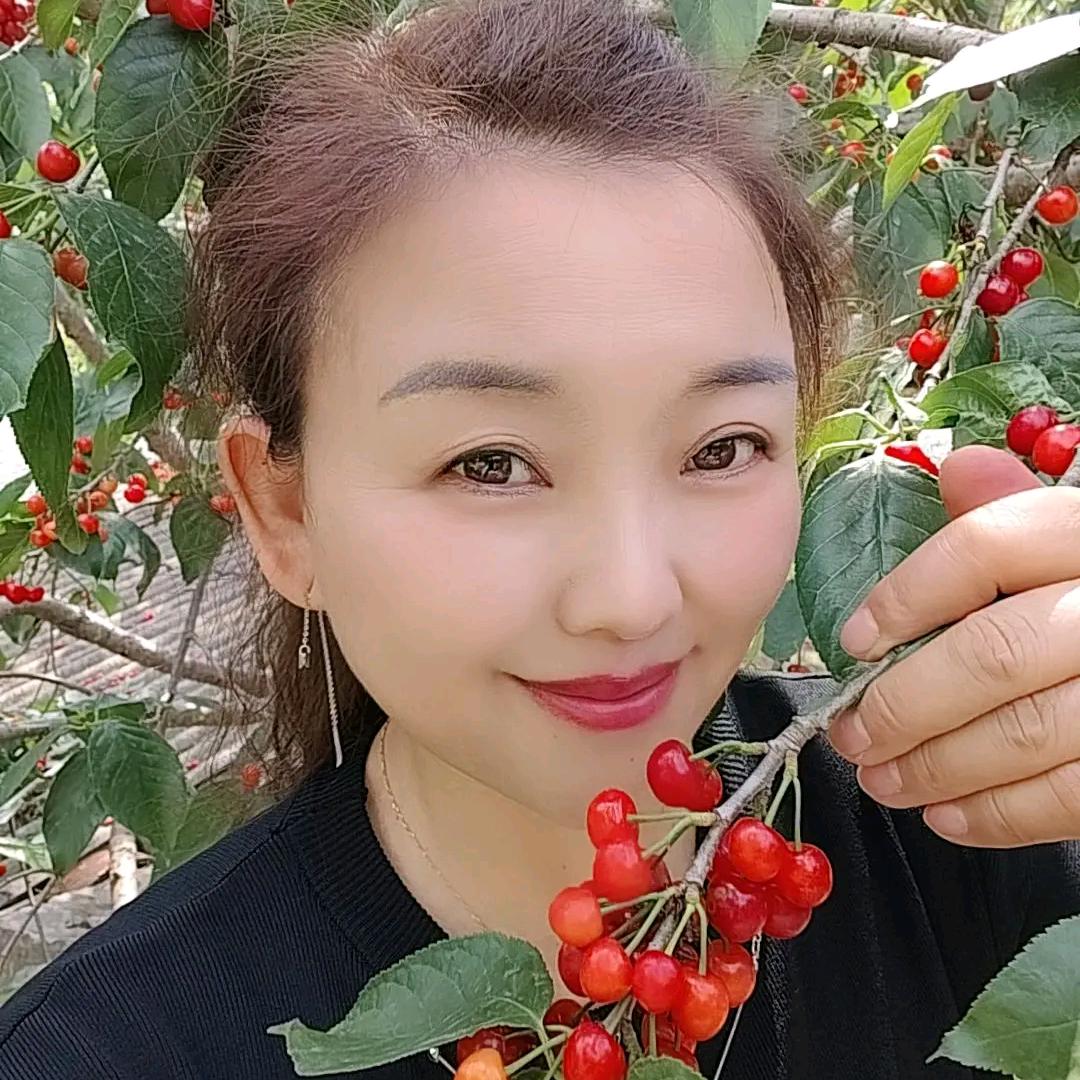 灵山雪莲