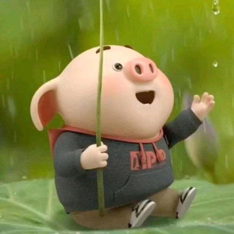 自由飞翔
