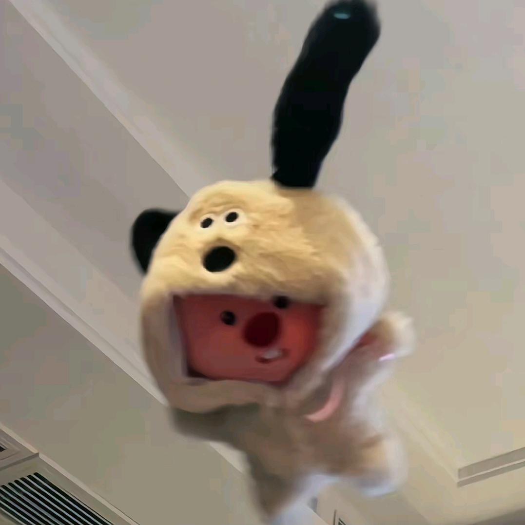 茶树果