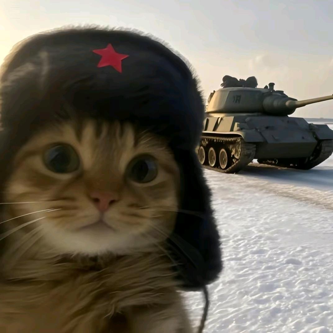 诗和远方.