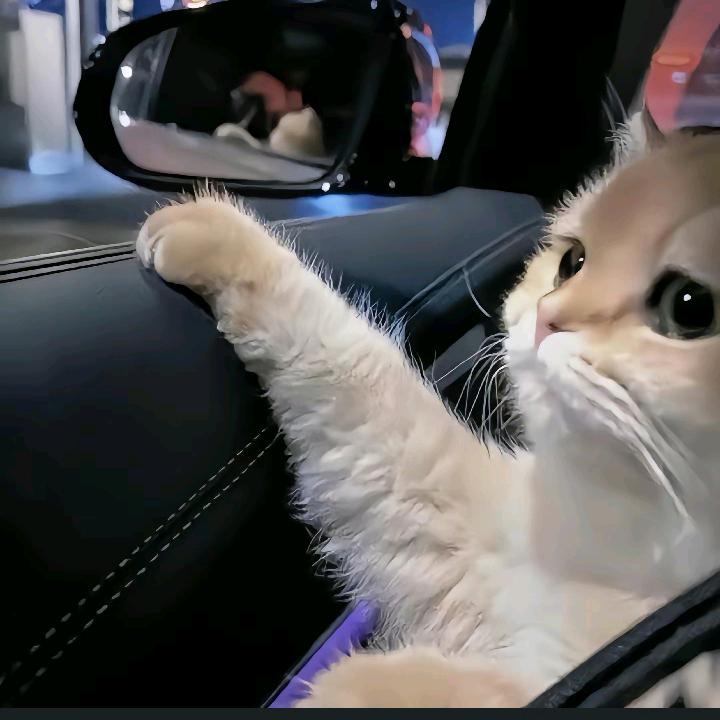 宝^O^