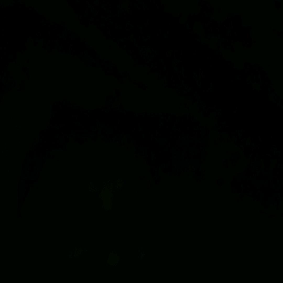 冷