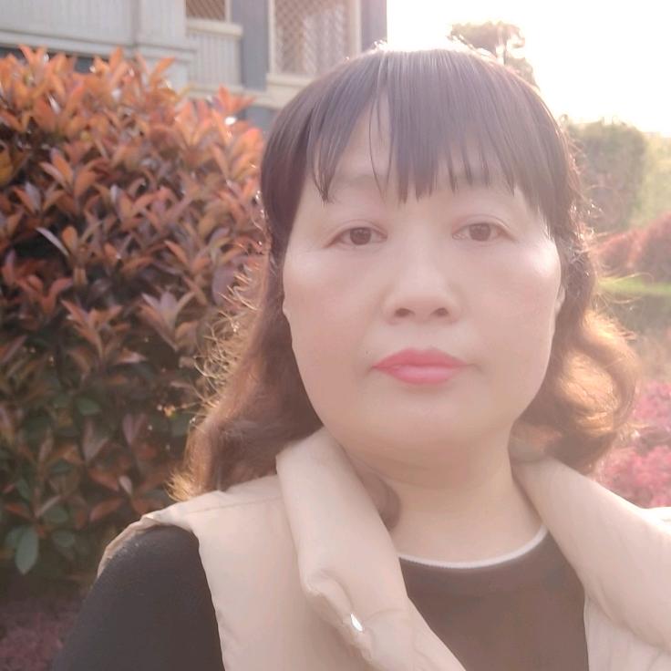 淡然（不定时）