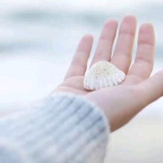 沙漠寂寞