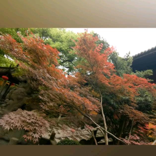 杭州  西湖景点