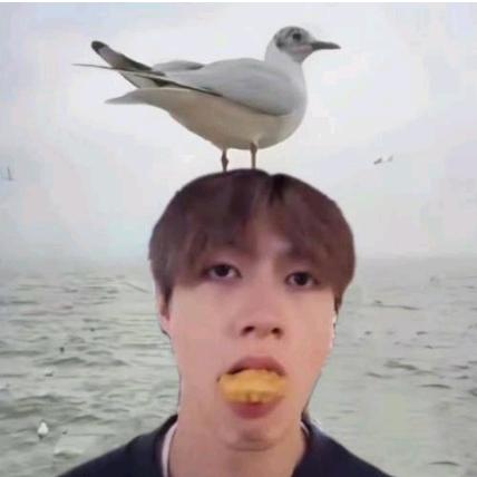 今天走了一万步