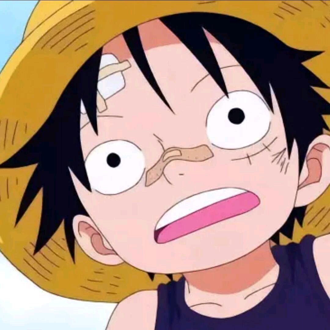 hmbb