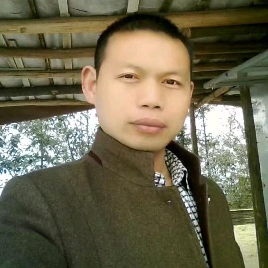 江南木易
