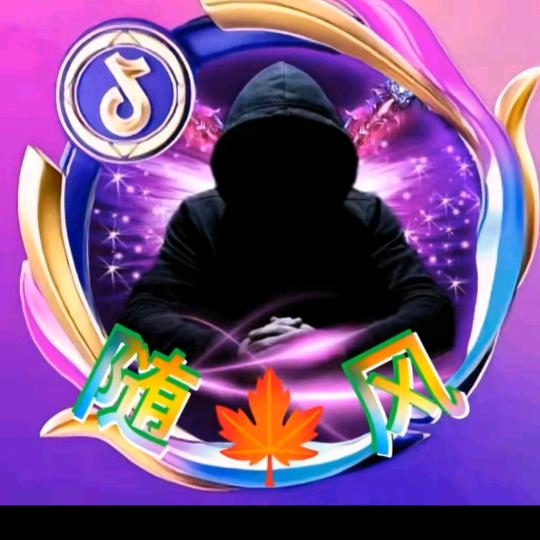 开心独宠珍惜