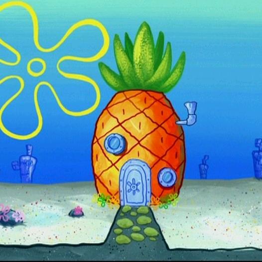 菠萝哥🍍🍍🍍🍍🍍🍍🍍🍍