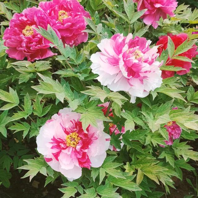 漂移