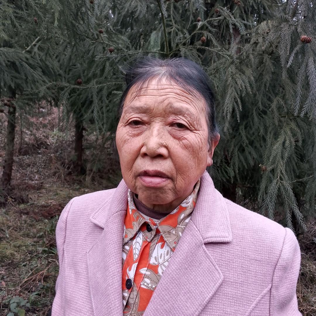 成心姐