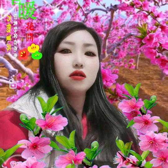 花开世界（杨）