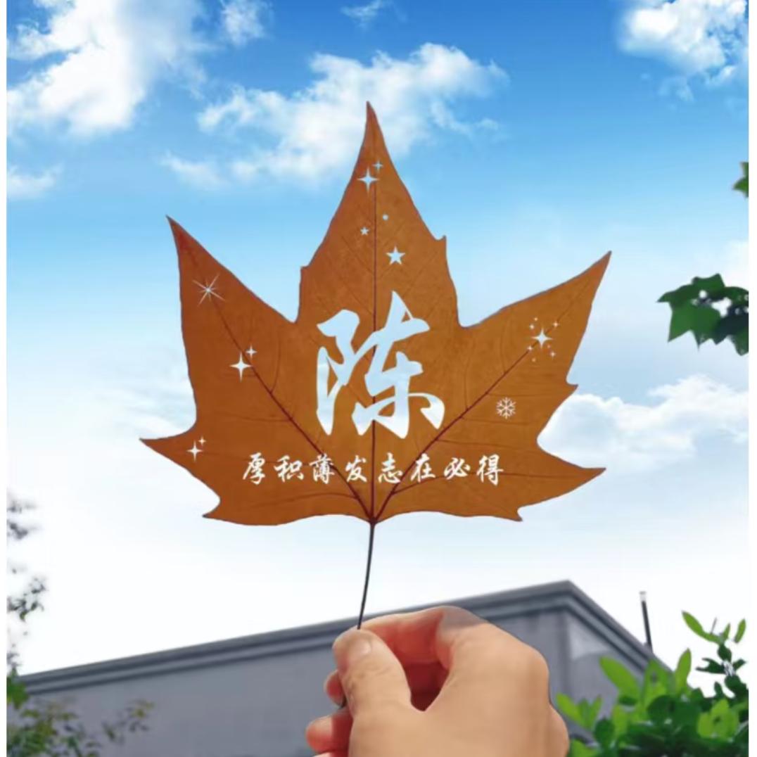 念安✨