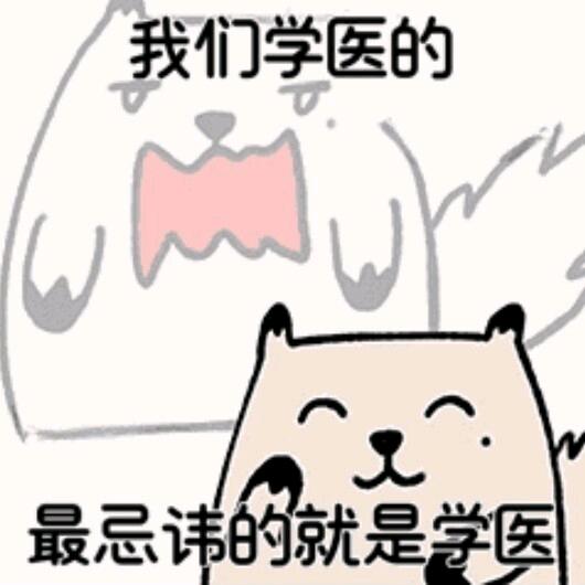 随风Editor
